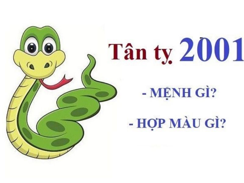 2001 mệnh gì