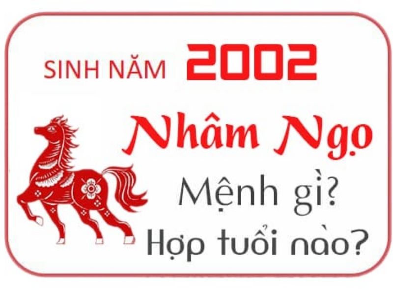 2002 mệnh gì