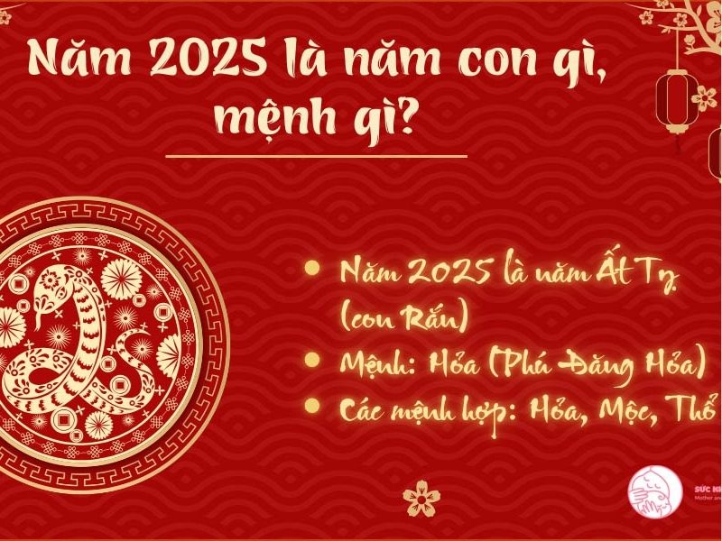 2025 con gì mệnh gì