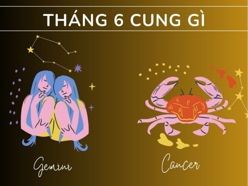 20/6 cung gì