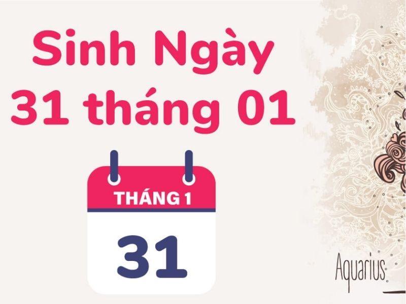 31/1 cung gì