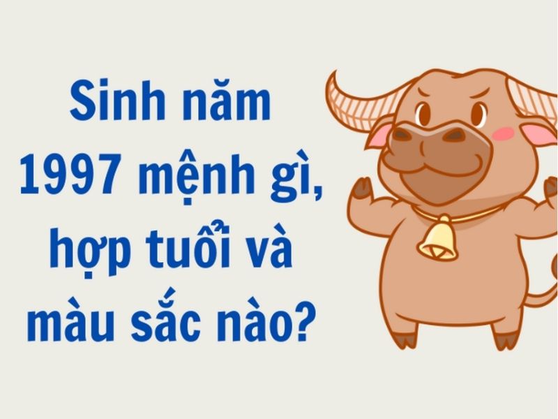 Nam, nữ sinh năm Đinh Sửu 1997 hợp với những tuổi nào?