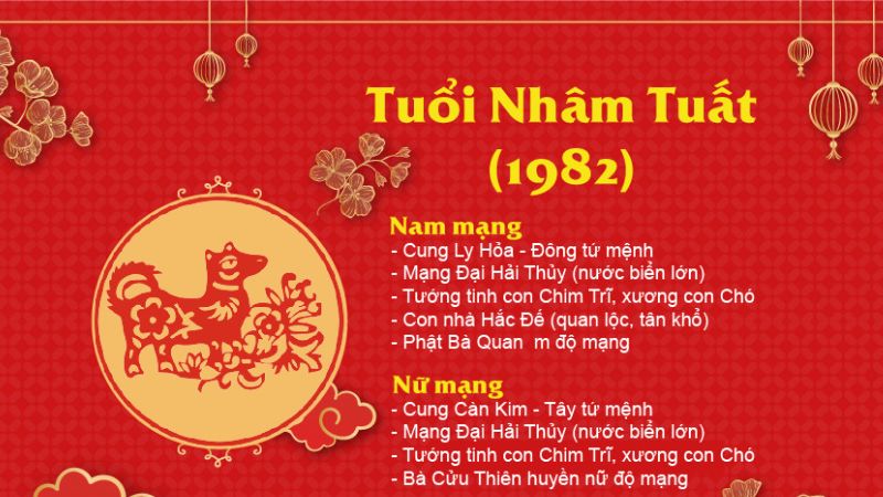 Sinh vào năm 1982 mệnh gì