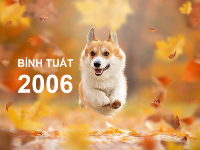 Sinh vào năm 2006 là tuổi gì?