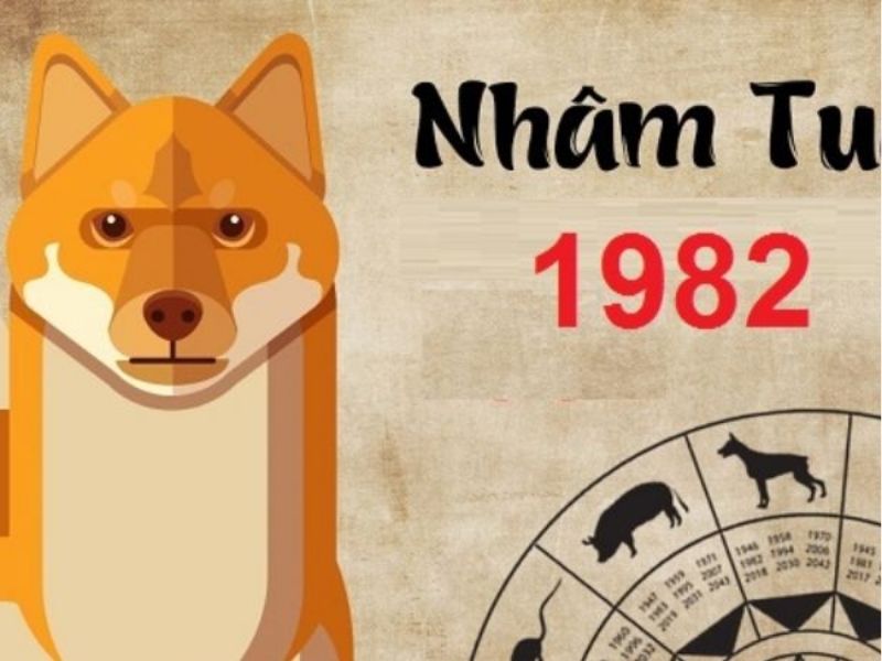 Sinh năm Nhâm Tuất 1982 hợp, kỵ hướng nào?