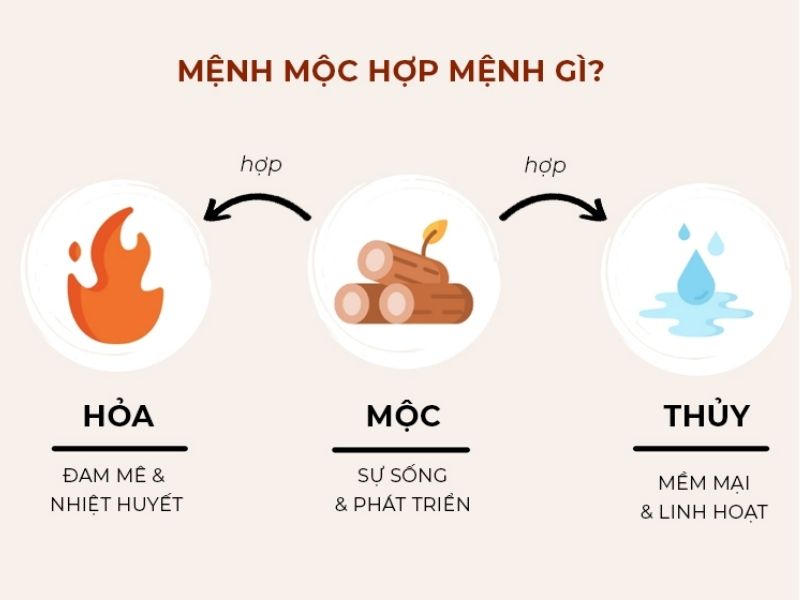 Tuổi nào hợp và khắc đối với người mệnh Mộc?